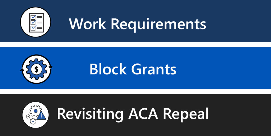 Areas of Focus for Medicaid Rollback Policy Changes 